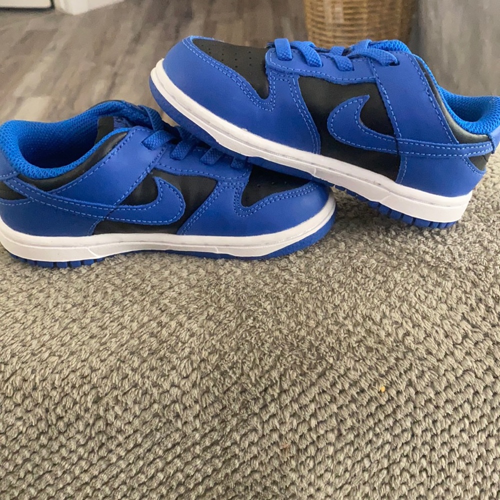 Toddler Nike Dunk Lo’s